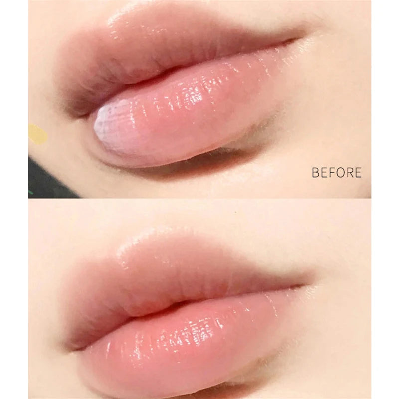 4pcs Natural Plant Lipstick Whitening Lipstick Base Moisturizing Cream Anti Crack Lip Care Jelly Color Makeup Lip Gloss